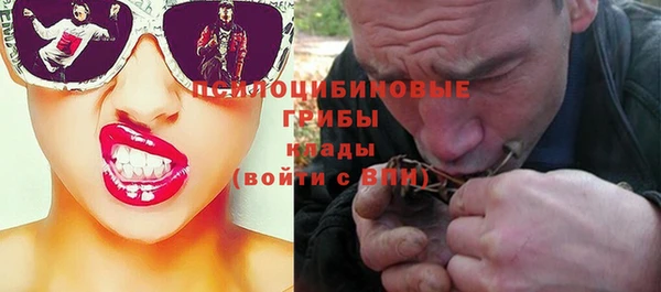 мяу мяу мука Арсеньев