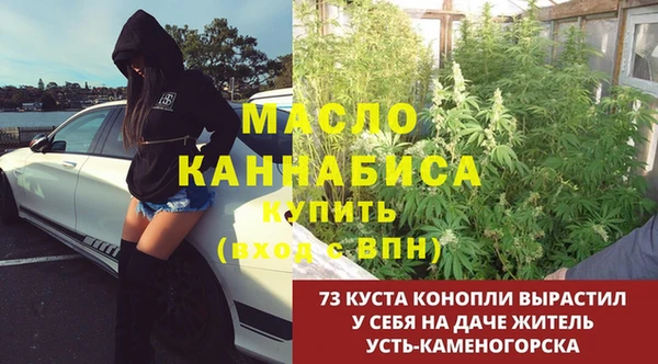 мяу мяу мука Арсеньев