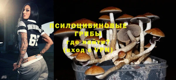 мяу мяу мука Арсеньев