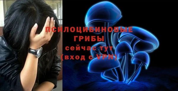 мяу мяу мука Арсеньев