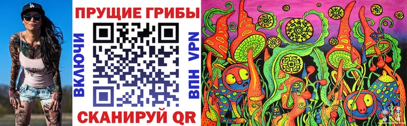 Псилоцибиновые грибы GOLDEN TEACHER  где купить наркотик  Балашов 
