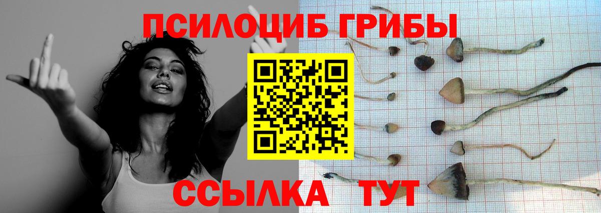 Галлюциногенные грибы мухоморы  Вход с VPN  Балашов 